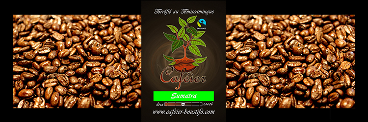 Sumatra Mi-Noir - Café Équitable